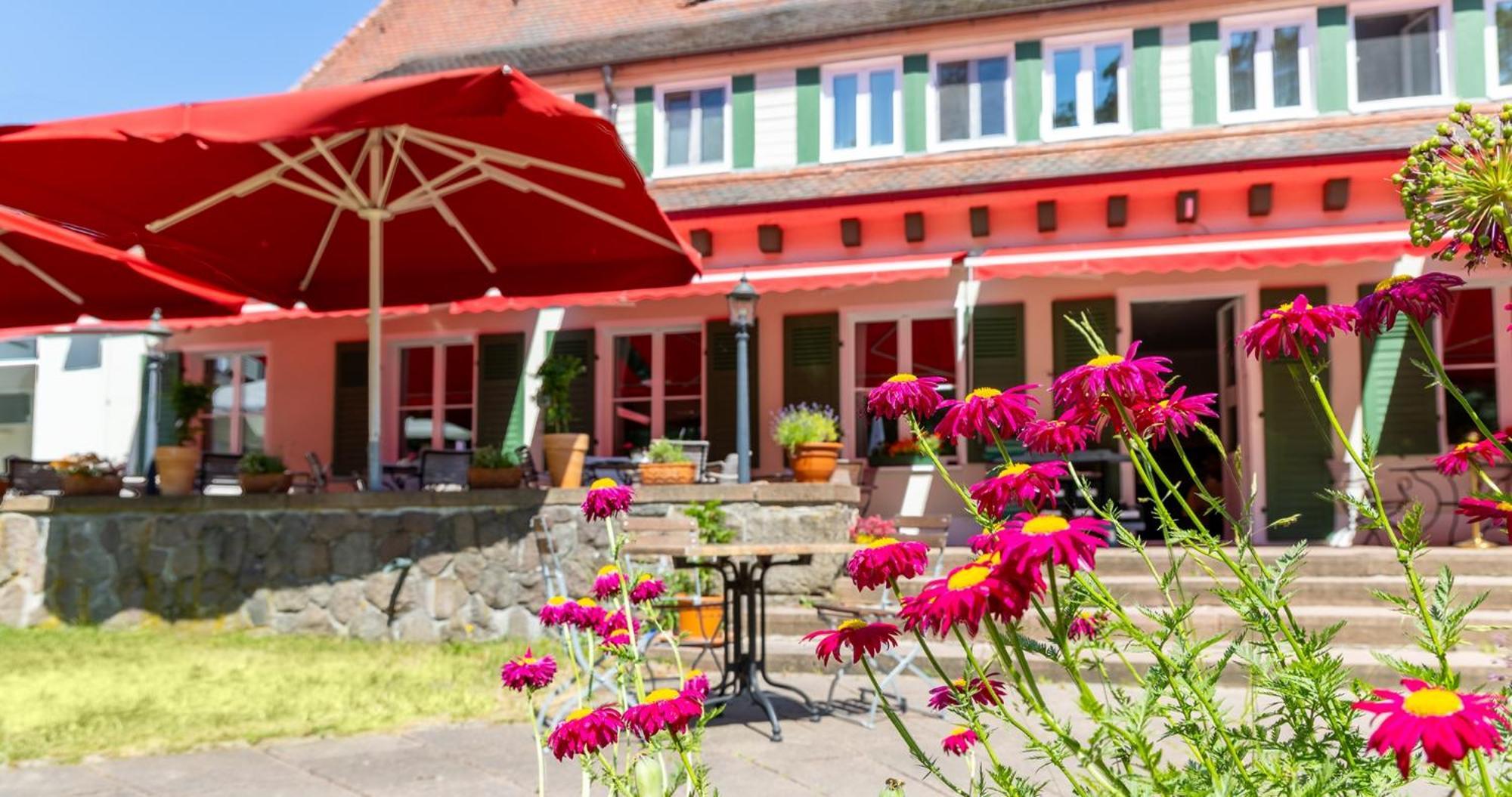 טמפלין Hotel Doellnsee-Schorfheide מראה חיצוני תמונה