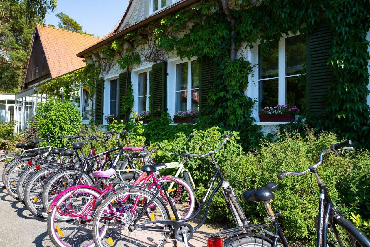 טמפלין Hotel Doellnsee-Schorfheide מראה חיצוני תמונה